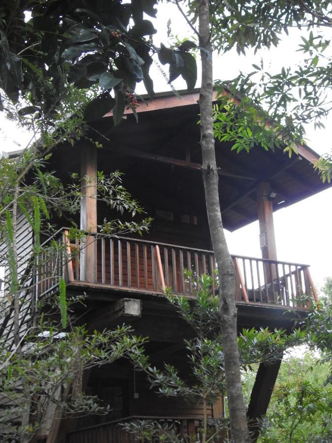 Wilpattu Tree House Bed & Breakfast Nochchiyagama Eksteriør bilde
