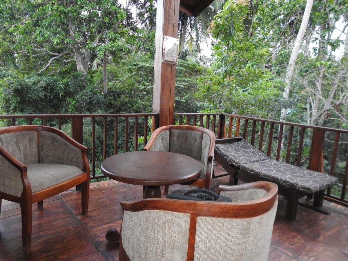 Wilpattu Tree House Bed & Breakfast Nochchiyagama Eksteriør bilde
