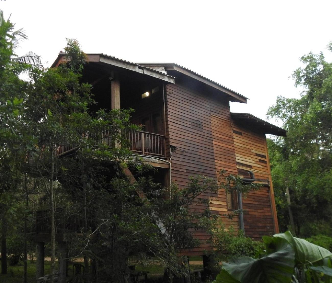 Wilpattu Tree House Bed & Breakfast Nochchiyagama Eksteriør bilde