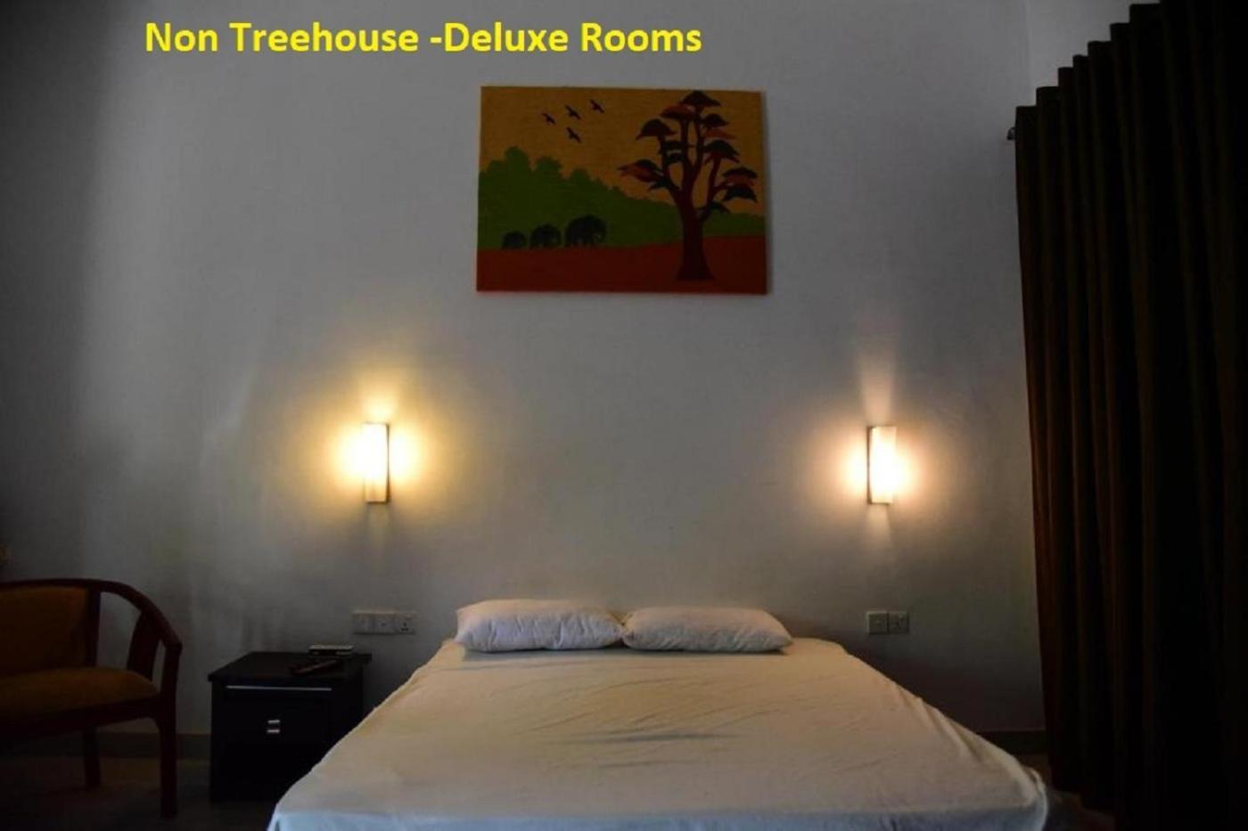 Wilpattu Tree House Bed & Breakfast Nochchiyagama Eksteriør bilde