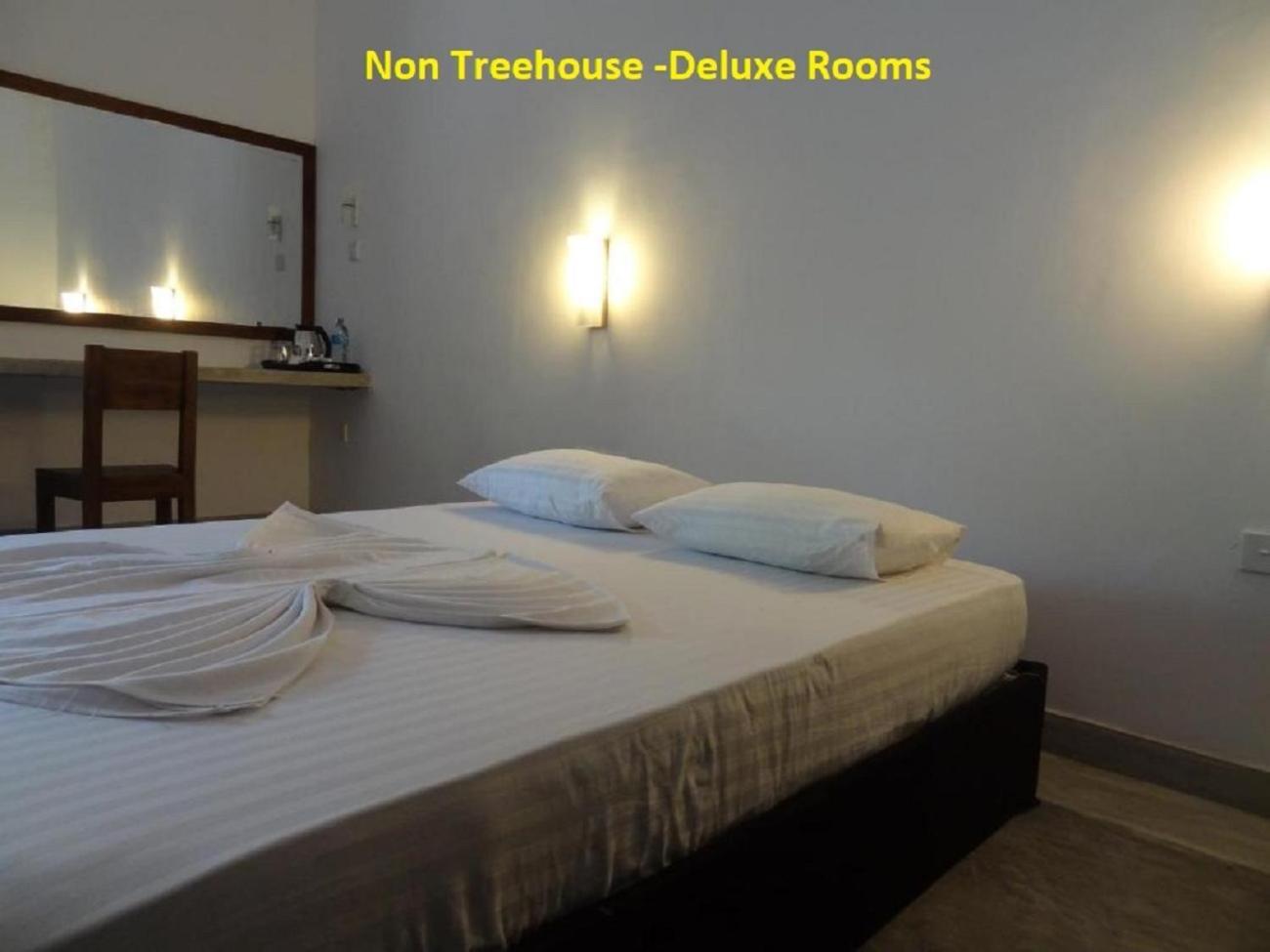 Wilpattu Tree House Bed & Breakfast Nochchiyagama Eksteriør bilde