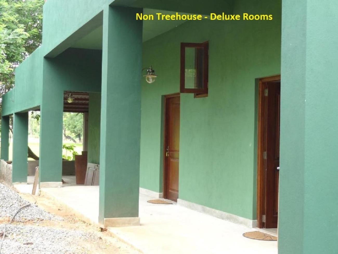 Wilpattu Tree House Bed & Breakfast Nochchiyagama Eksteriør bilde