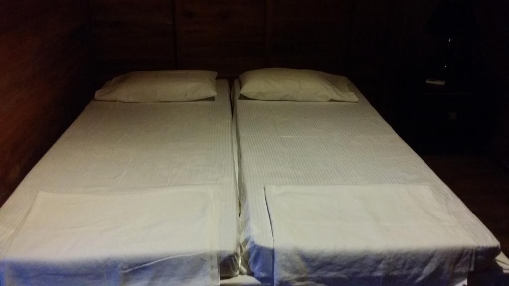 Wilpattu Tree House Bed & Breakfast Nochchiyagama Rom bilde