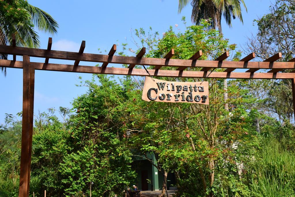 Wilpattu Tree House Bed & Breakfast Nochchiyagama Eksteriør bilde