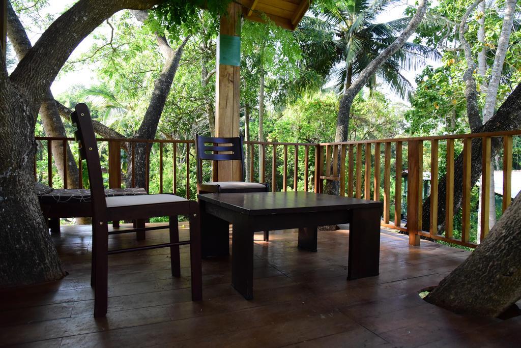 Wilpattu Tree House Bed & Breakfast Nochchiyagama Eksteriør bilde