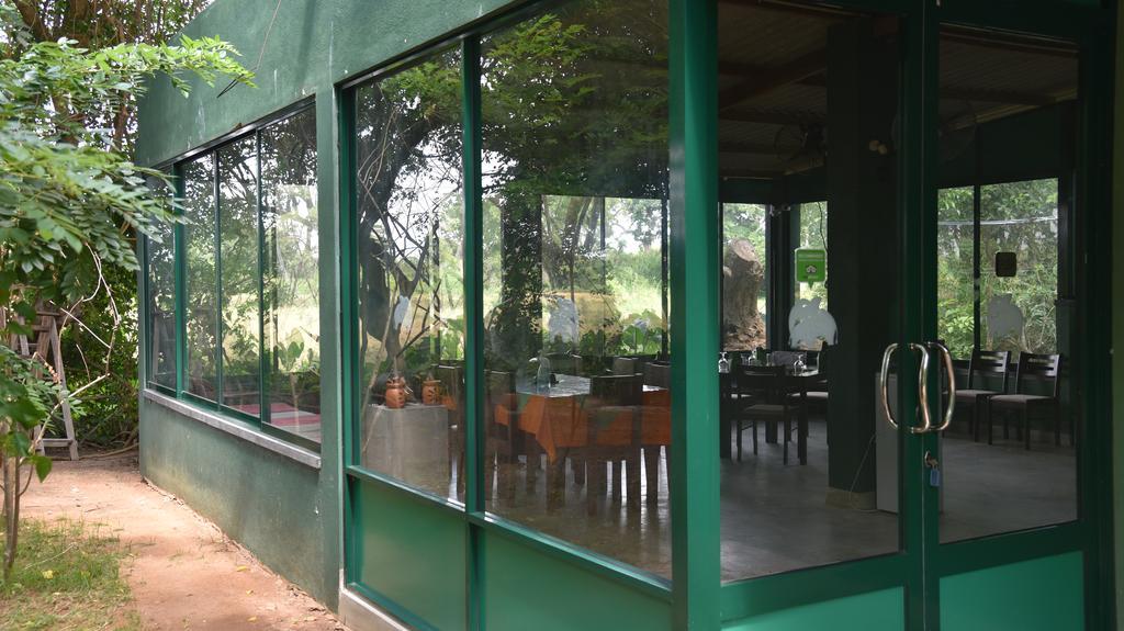 Wilpattu Tree House Bed & Breakfast Nochchiyagama Eksteriør bilde