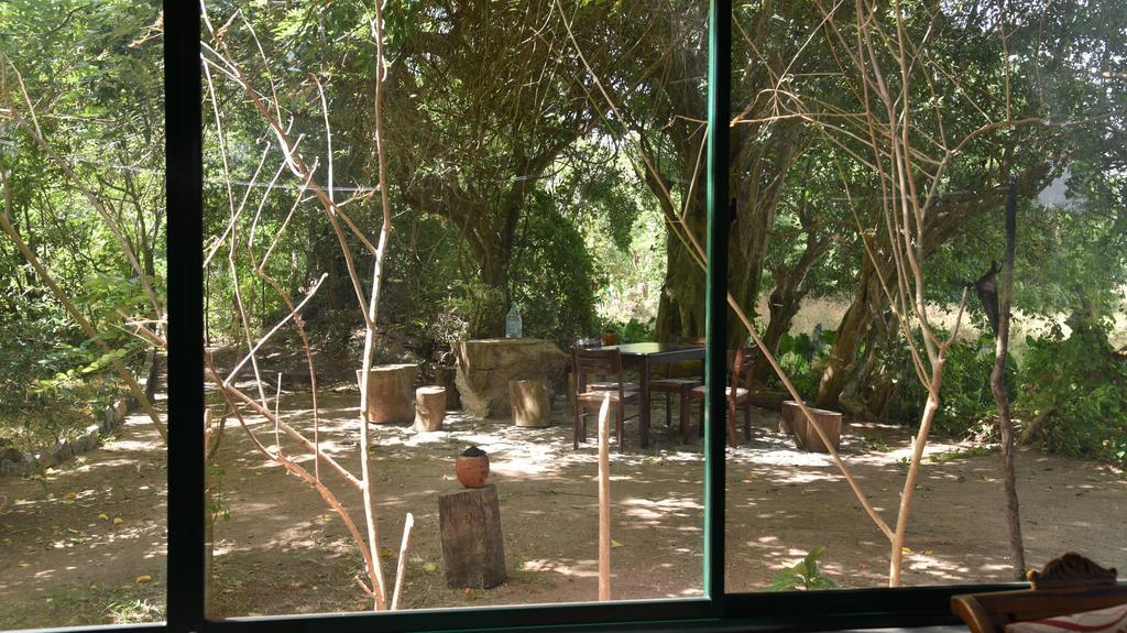 Wilpattu Tree House Bed & Breakfast Nochchiyagama Eksteriør bilde