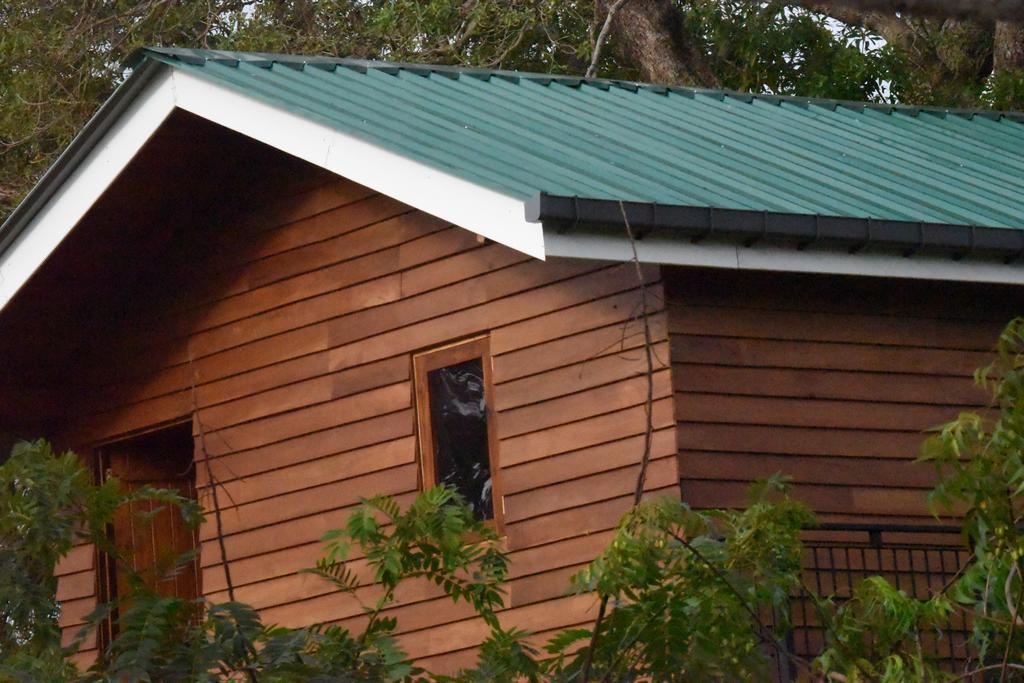 Wilpattu Tree House Bed & Breakfast Nochchiyagama Eksteriør bilde